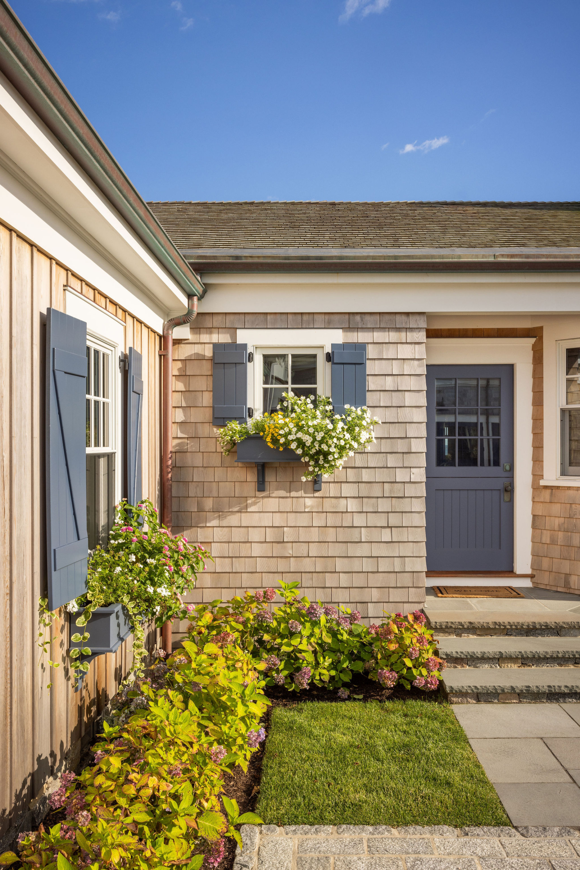 Side garden entrance of Ocean Lodge featuring cedar shingles, blue doors, and flowering window boxes—a modern restoration of a historic Newport residence.