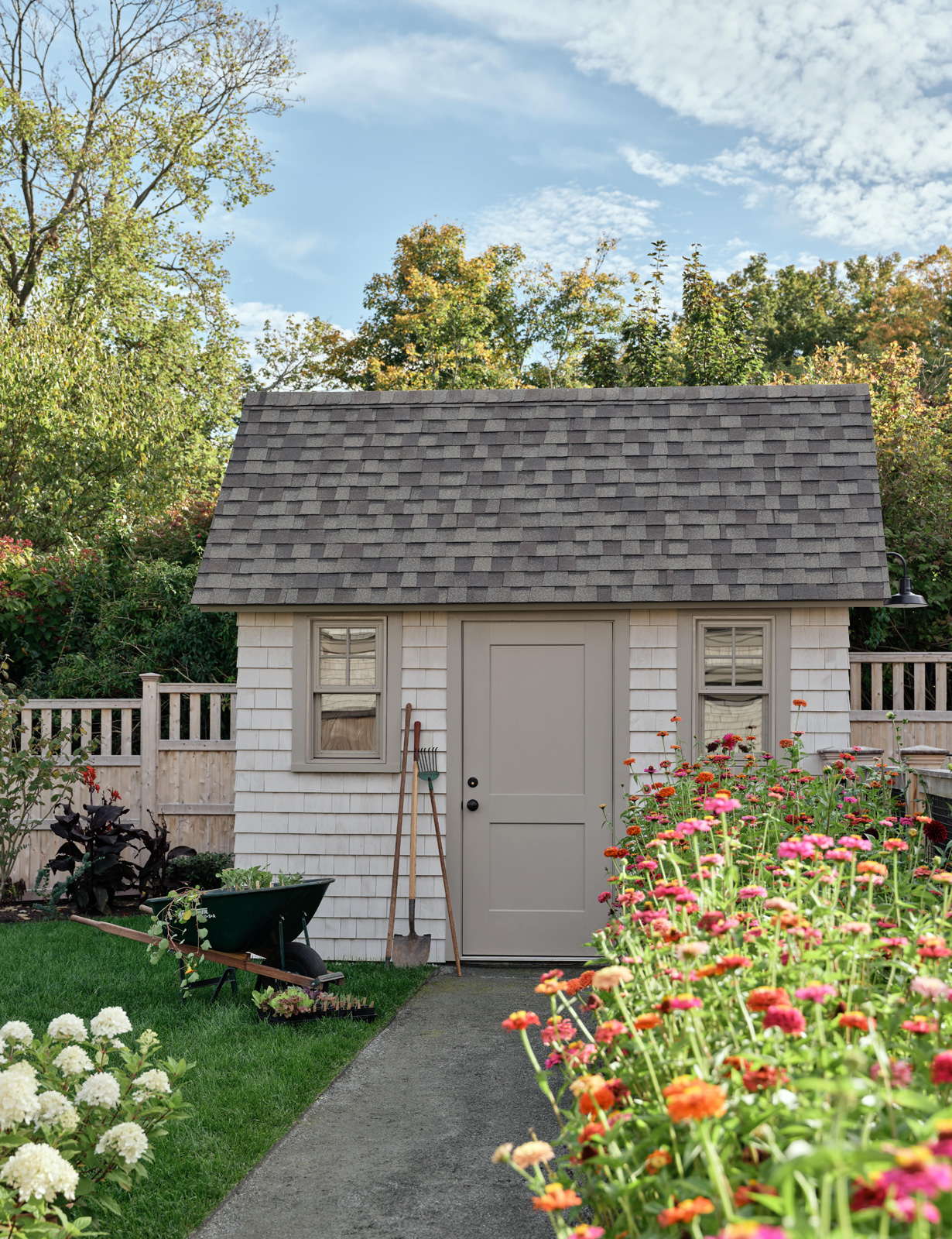 A garden shed with dahlias.